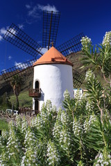 windmill at Molino de Viento - Gran Canaria © Patrik Stedrak
