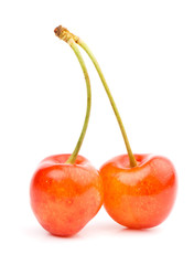 Sweet cherry