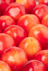 Sweet cherry