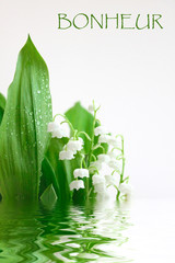Muguet