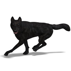 Black Wolf. 3D rendering with clipping path and shadow over