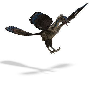 Dinosaur Archaeopteryx. 3D rendering with clipping path and