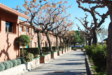 Houses on the Campsite