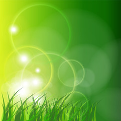 Abstract green background