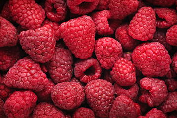Fresh red berries. Raspberry fruits horizontal background