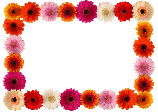 Bunter Blumen Rahmen