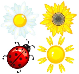 Küchenrückwand glas motiv Set aus einem Marienkäfer, der Sonne, einer Sonnenblume und Kamille. © VoroNNok