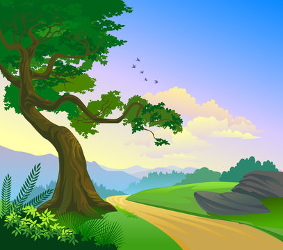 Countryside Road and Lonely tree - landscape