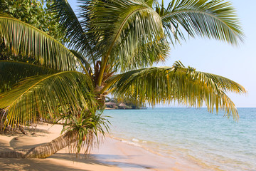 Beautiful tropical beach in Koh Mak , Thailand