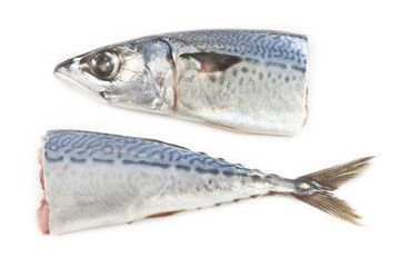 Saba Fish