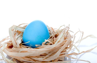 Easter egg in a nest isolated on white background