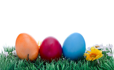 Fototapeta na wymiar Easter eggs in grass isolated on white background