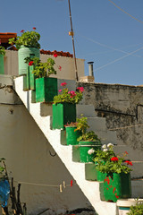 Blumen auf einer Treppe