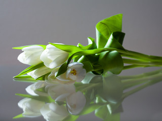 Tulpenstrauß mit Spiegelung