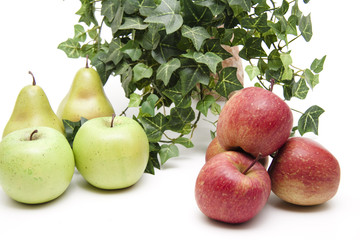 Äpfel und Birnen