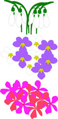 illustration of flowers - vector