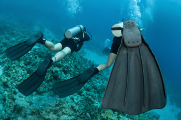 scuba divers having fun