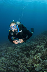 scuba divers decend on to dive site