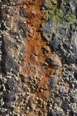 Rusty metal surface,