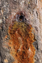 Rusty metal surface