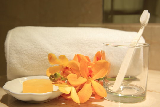 Bathroom amenities