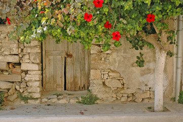 Hibiskus an einem Haus in Mirtos, Kreta © Fotolyse