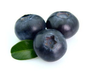 Bilberry berries on a white background