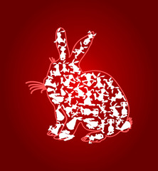 Rabbit3