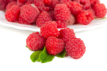 fresh raspberry