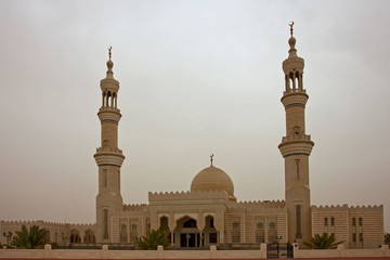 Fototapeta na wymiar Abu Dhabi Sweihan 16
