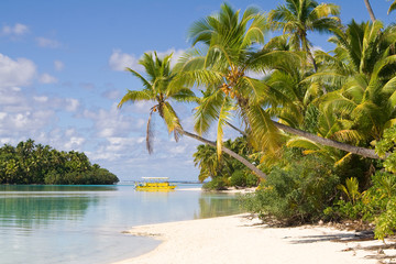 Plakat Palmenstrand von One Foot Island