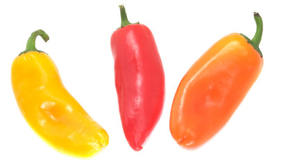 Multi Colored Bell Peppers Bottoms Together