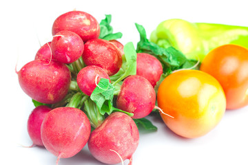 Fototapeta na wymiar radish, tomato and pepper isolated on white