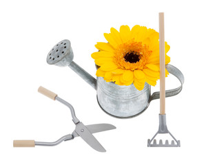 Gartenwerkzeug mit Gerbera