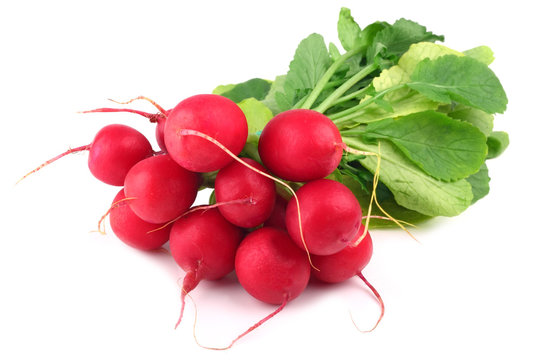 Radi Photos Royalty Free Images Graphics Vectors Videos Adobe Stock