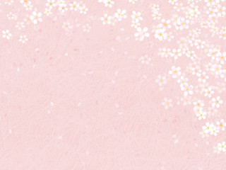 散り桜ピンク