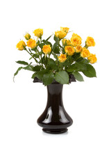 Beautiful yellow roses