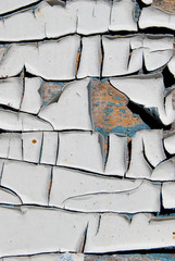 vintage painting wooden cracked doors background