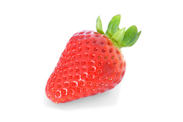 Erdbeere