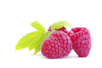 raspberry