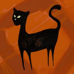 Black cat