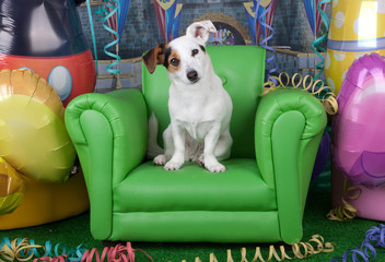 Foto di Carnevale © Antonio Gravante