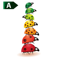 Pile de coccinelles écologiques, vecteur