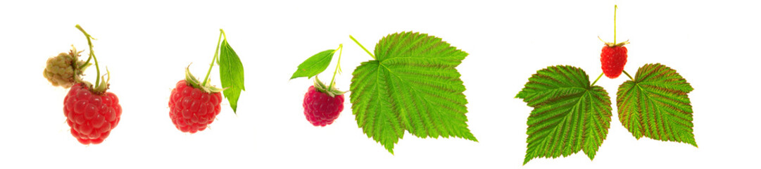 Raspberry