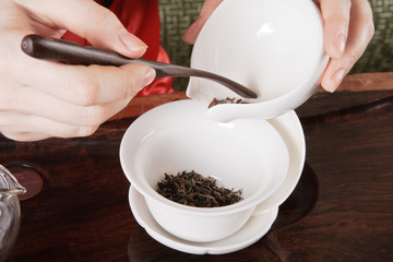 The hand young woman in tea ceremony