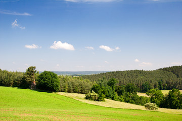 Fototapeta na wymiar Letni krajobraz w Turyngii w Saale-Holzland