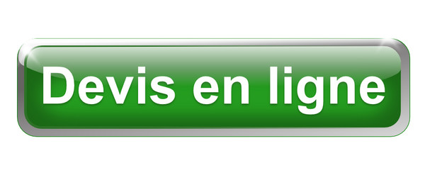 devis en ligne sur bouton métal rectangle vert