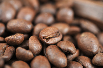 coffee beans