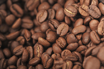 coffee beans
