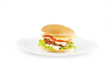 hamburger and vegetables on white